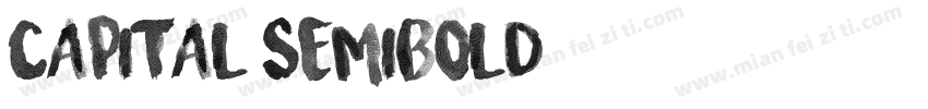 Capital Semibold字体转换